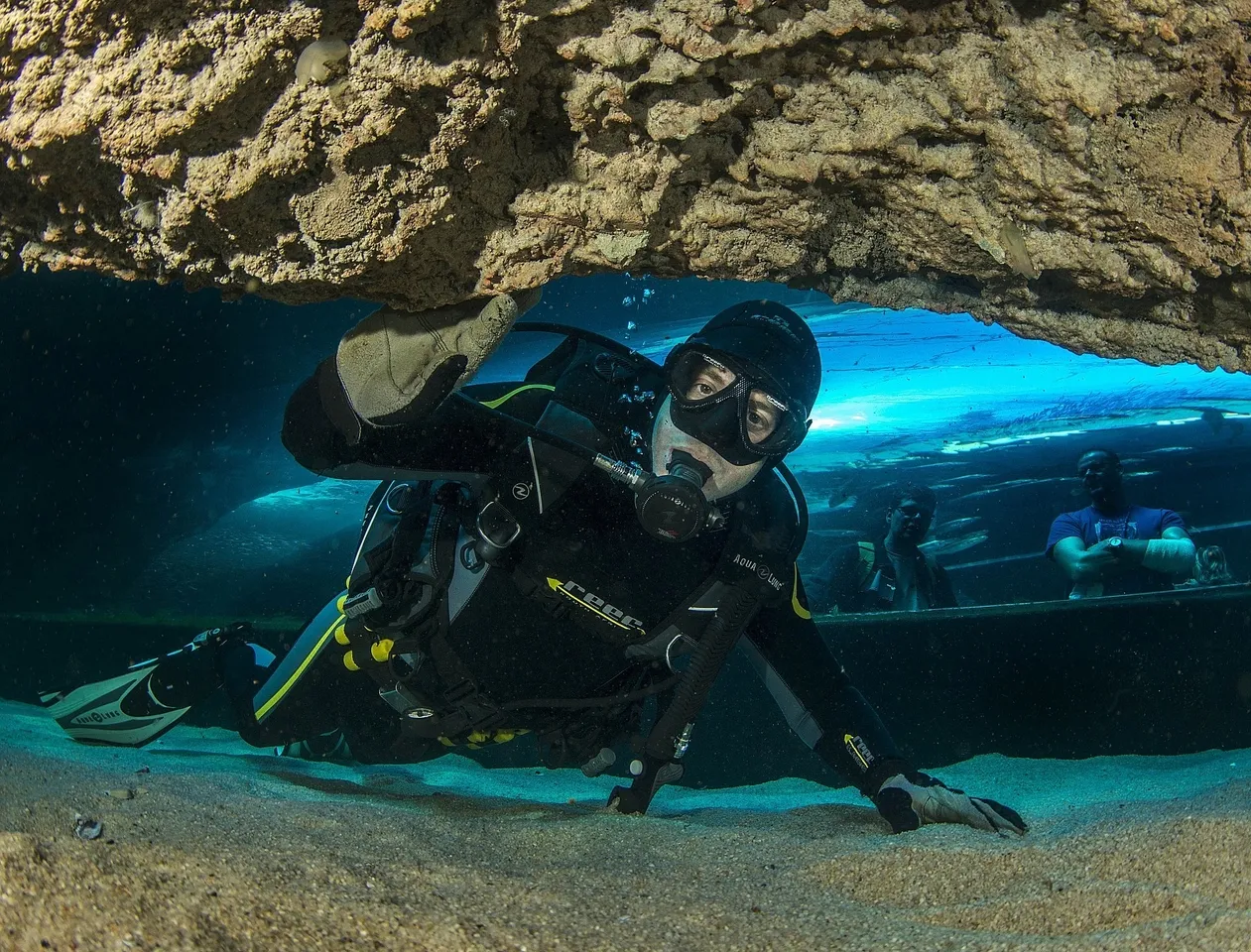 Dive gear 101: wetsuits