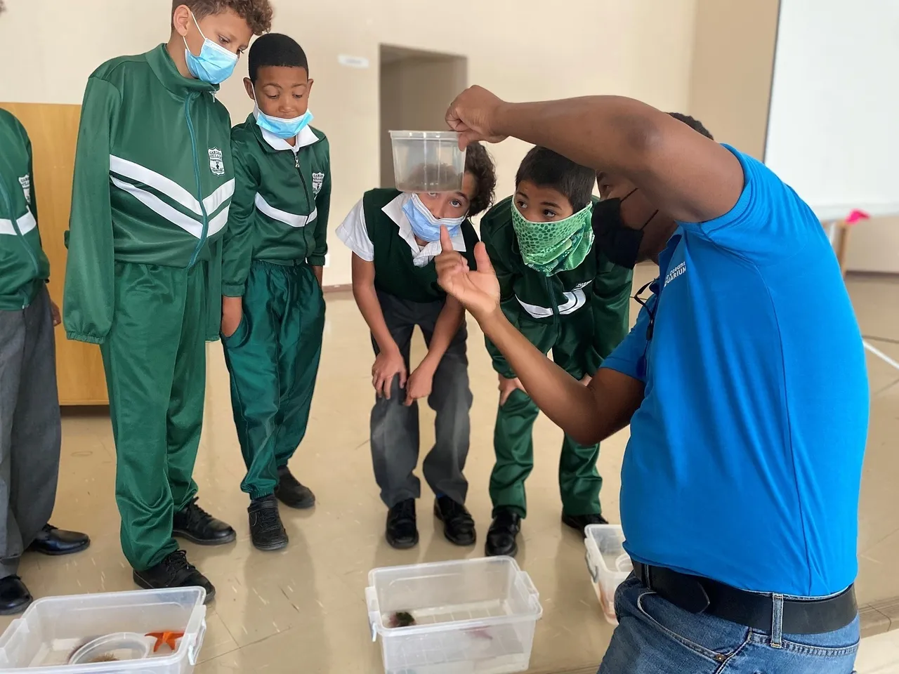 Oceans in motion: bringing the ocean to schools with avi