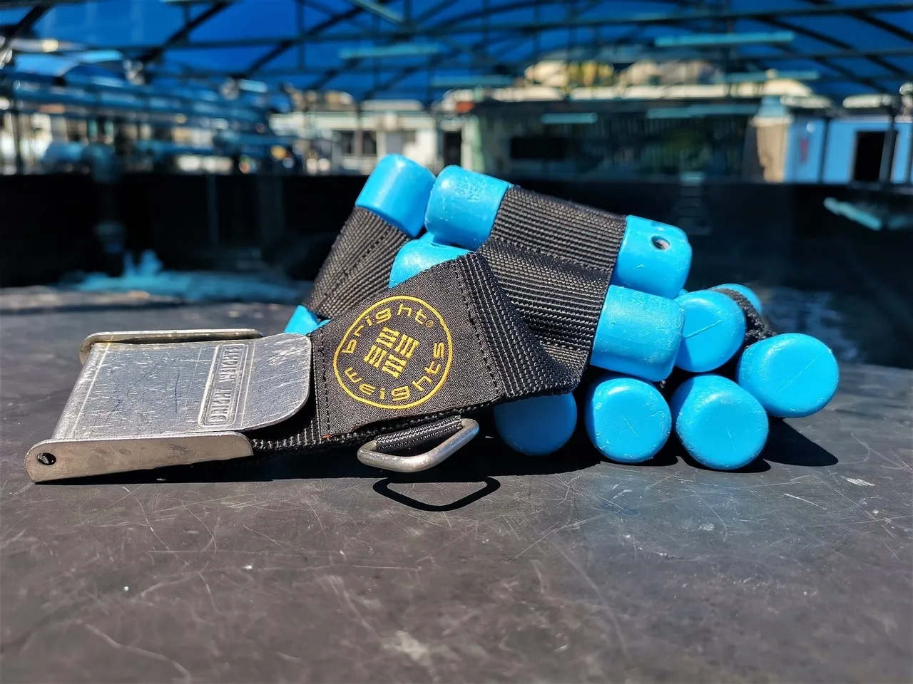 Dive gear 101: weights