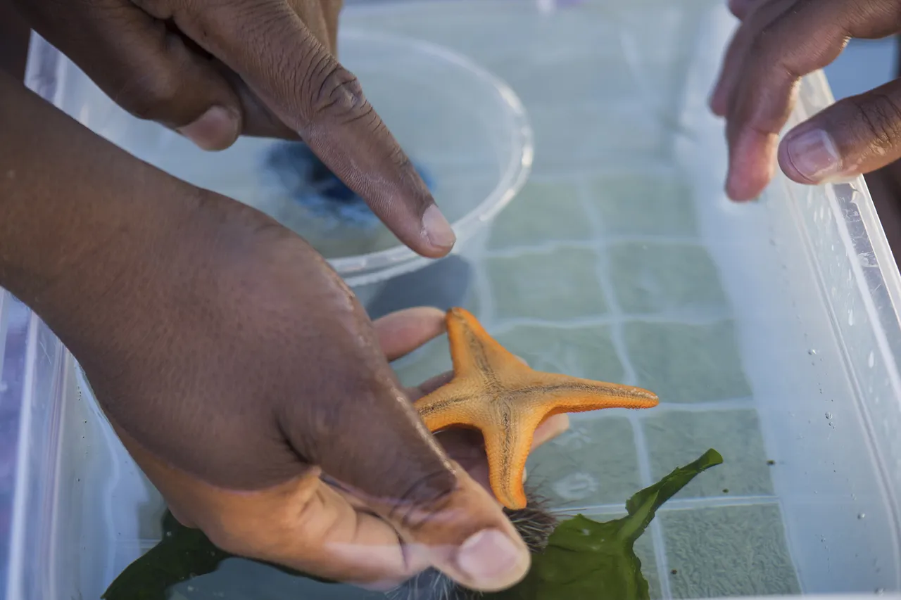 Two Oceans Aquarium Jan 2015 LR 088