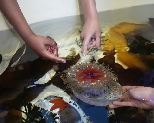 Bring your school to the Aquarium