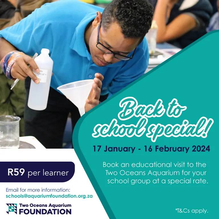 Back to School: Start the year with a lesson at the Two Oceans Aquarium