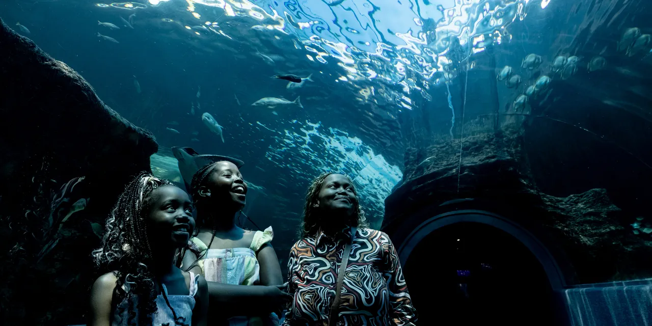 Be part of the Aquarium's story