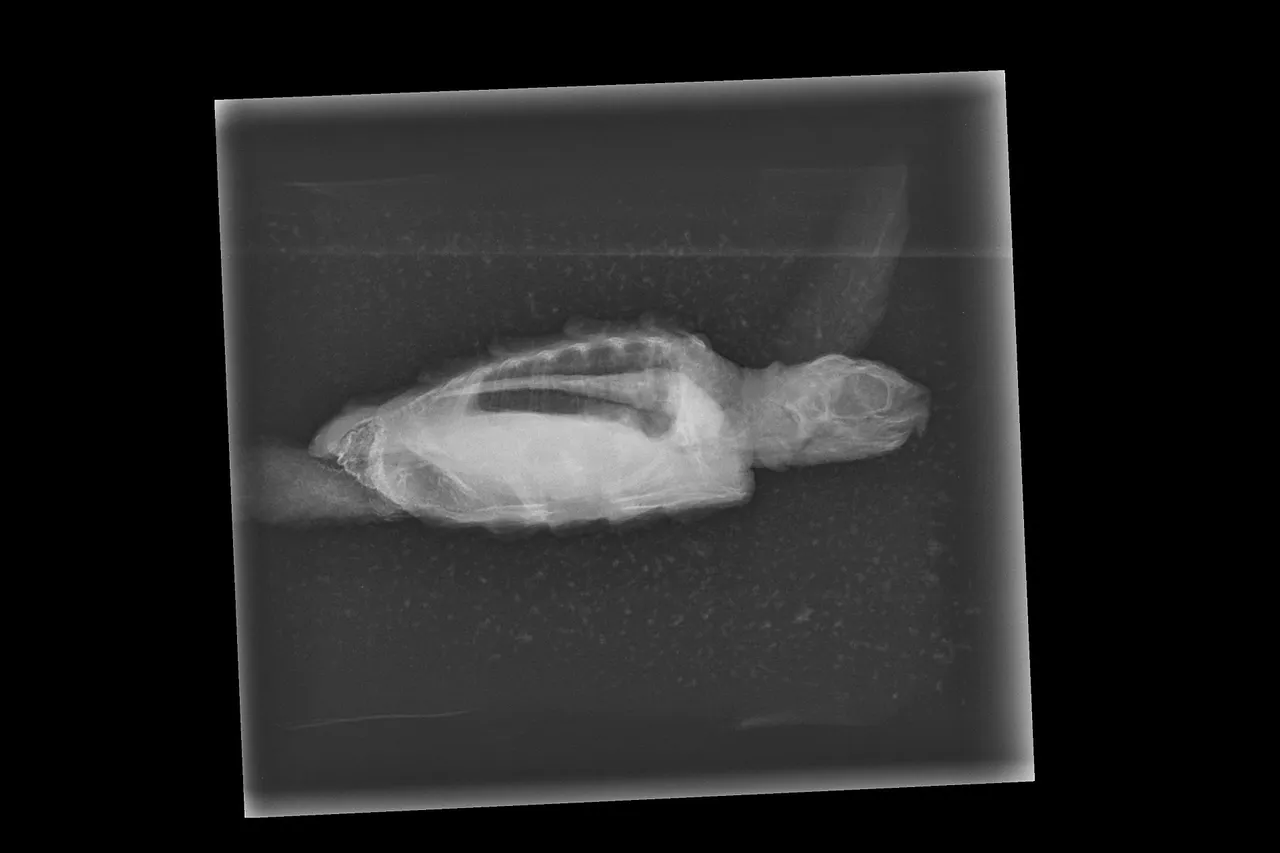 2022 151 22 08 12 LAT