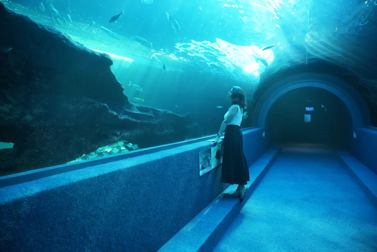 Become a Two Oceans Aquarium member: Here's how