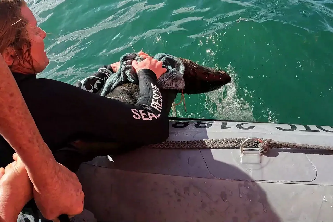 Vlcsnap 2022 08 21 15h07m25s265