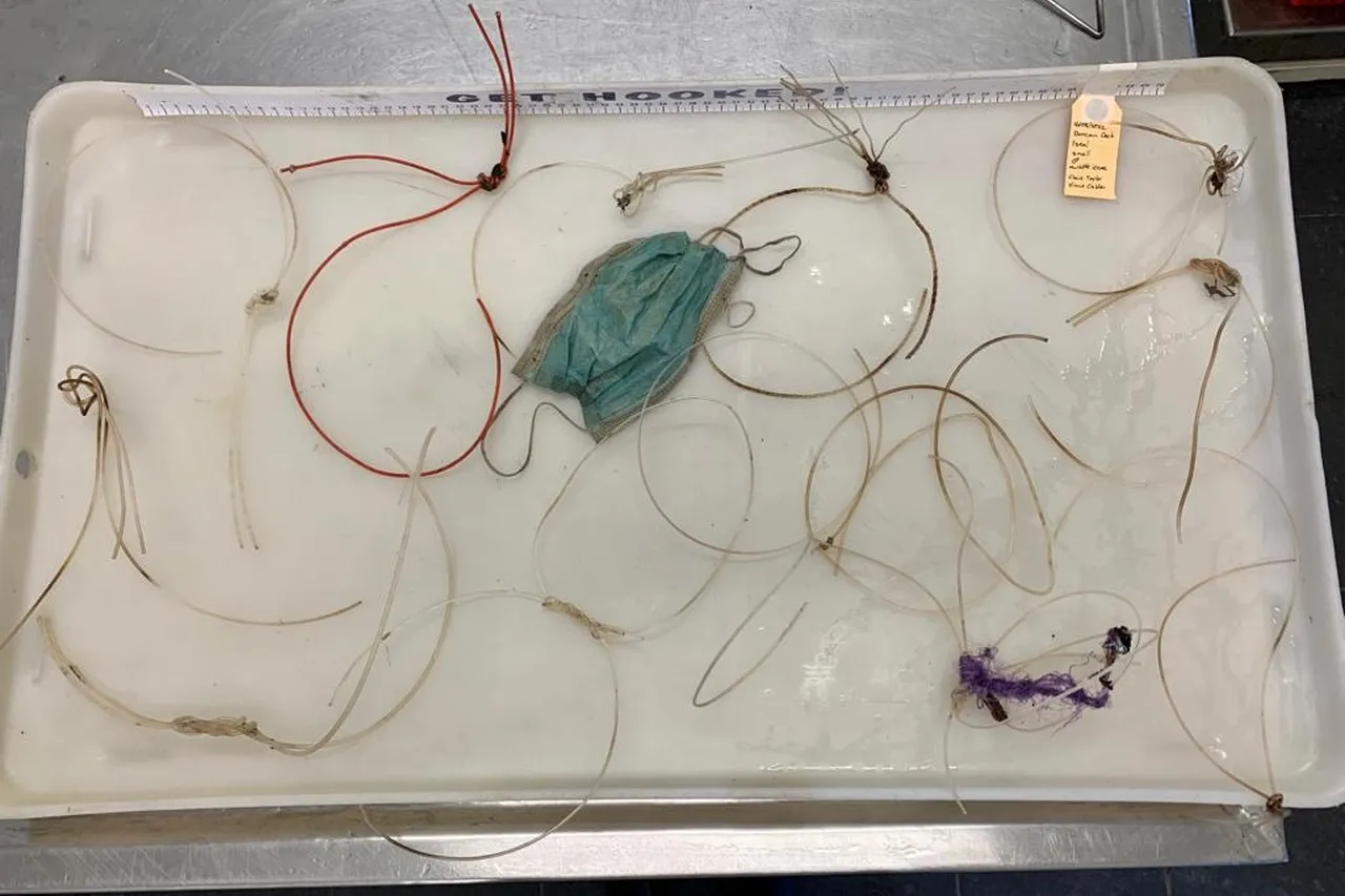 Whats App Image 2022 08 18 at 11 40 09 1