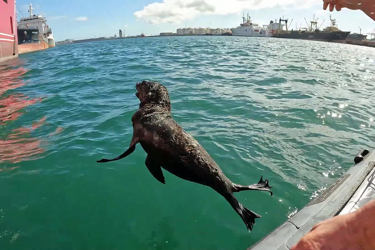 Vlcsnap 2022 08 21 15h06m45s983