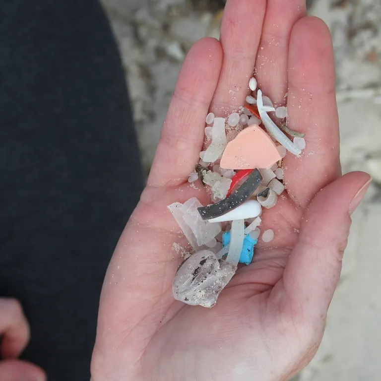 Going Plastic-Free: How can I help?