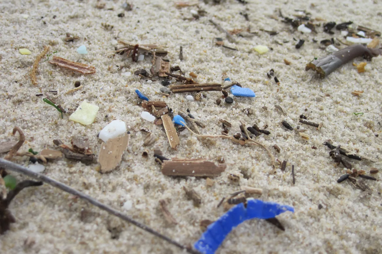 Microplastics beach image R Leeuwner