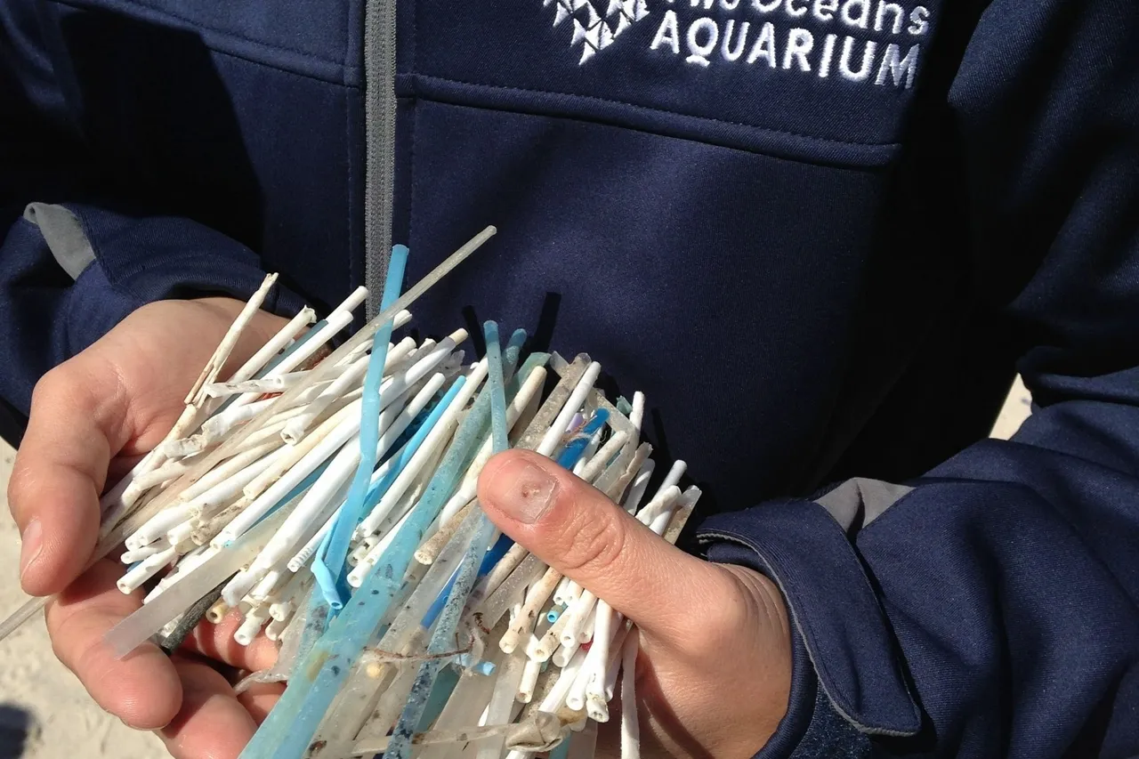 Straws sucker sticks and ear buds image R Leeuwner edit