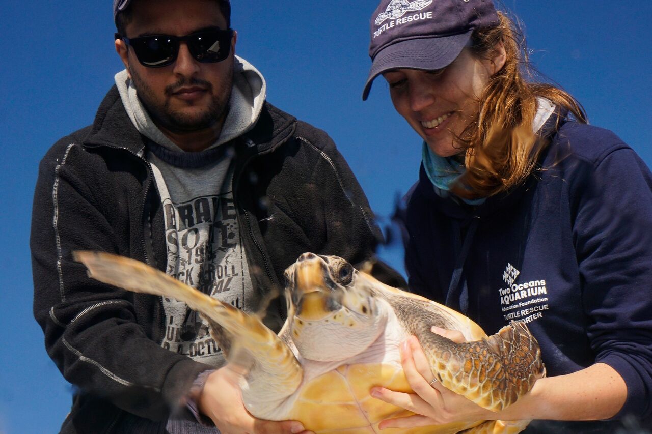 Lynton Burger Pan release 3