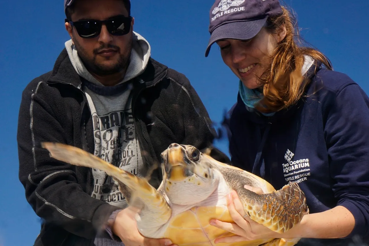 Lynton Burger Pan release 3