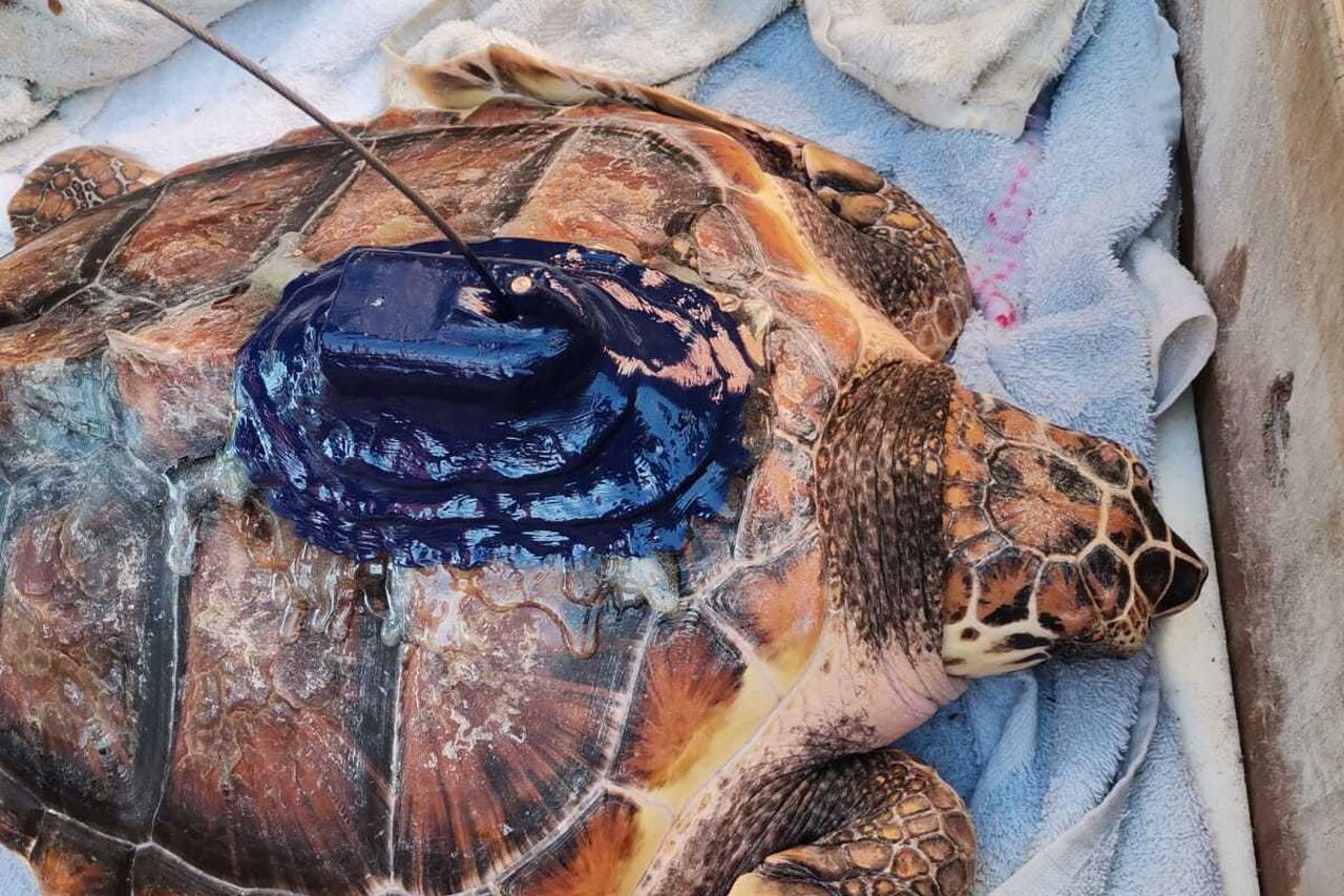 Whats App Image 2022 07 01 at 14 39 47