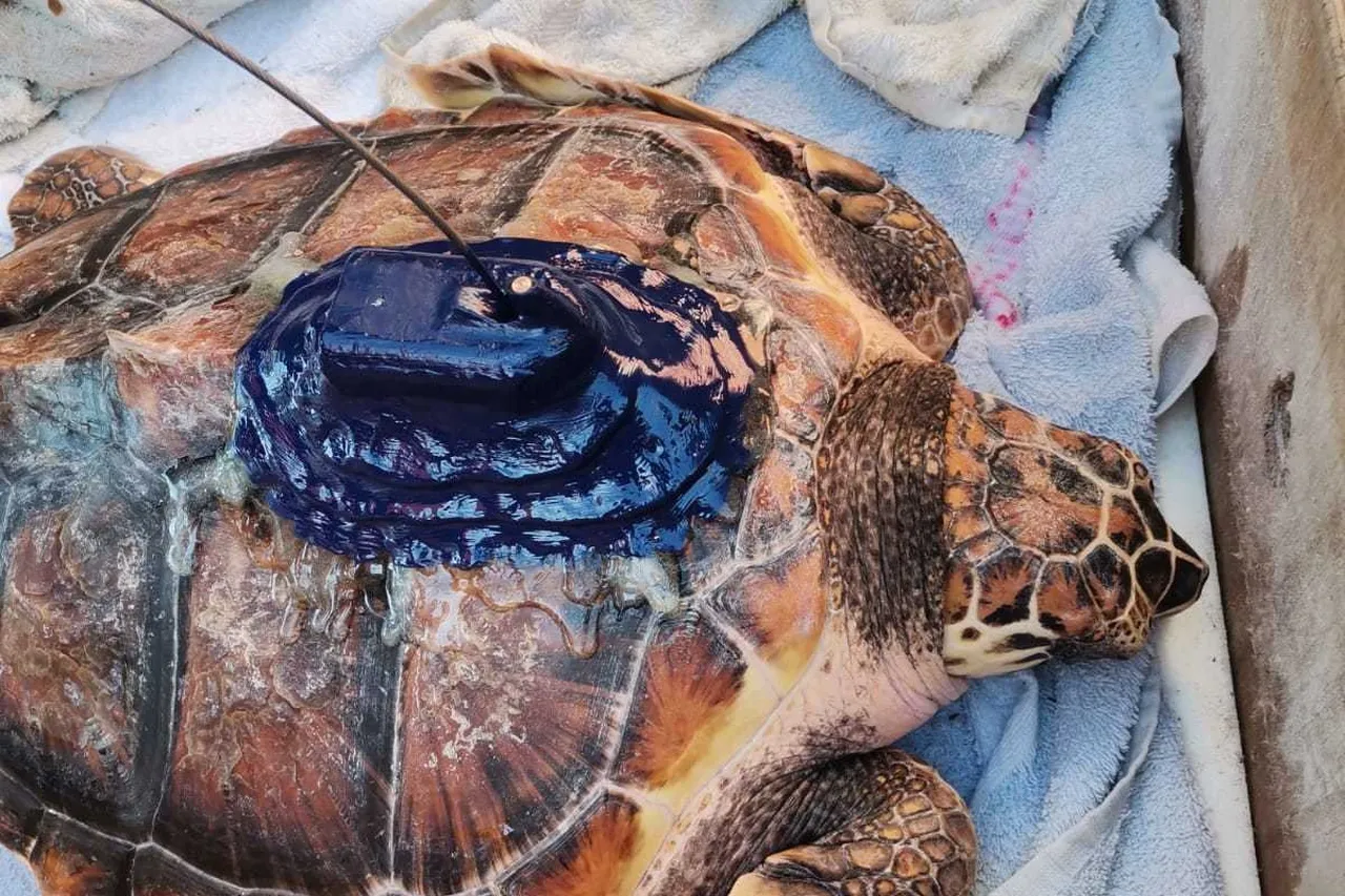 Whats App Image 2022 07 01 at 14 39 47