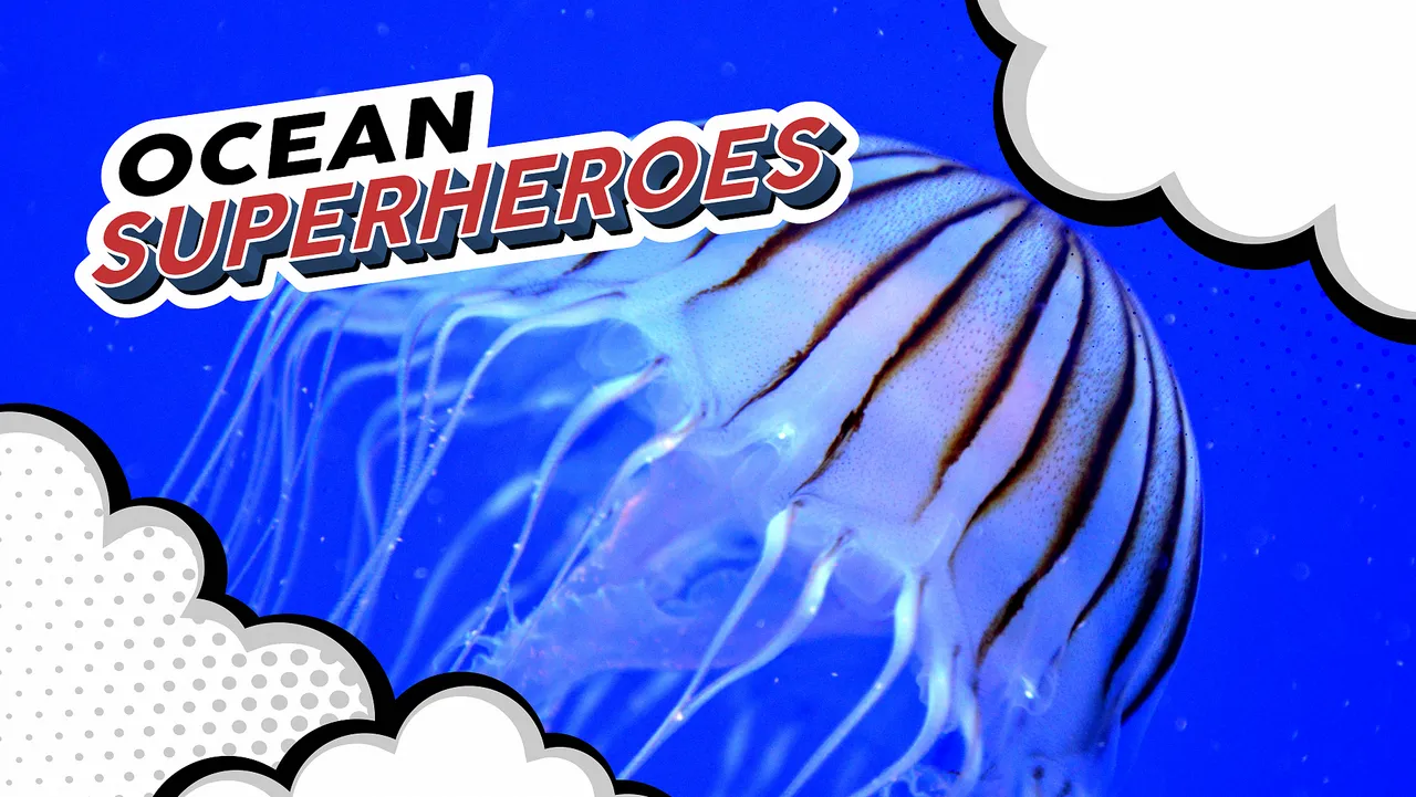 The amazing superpowers of jellyfish