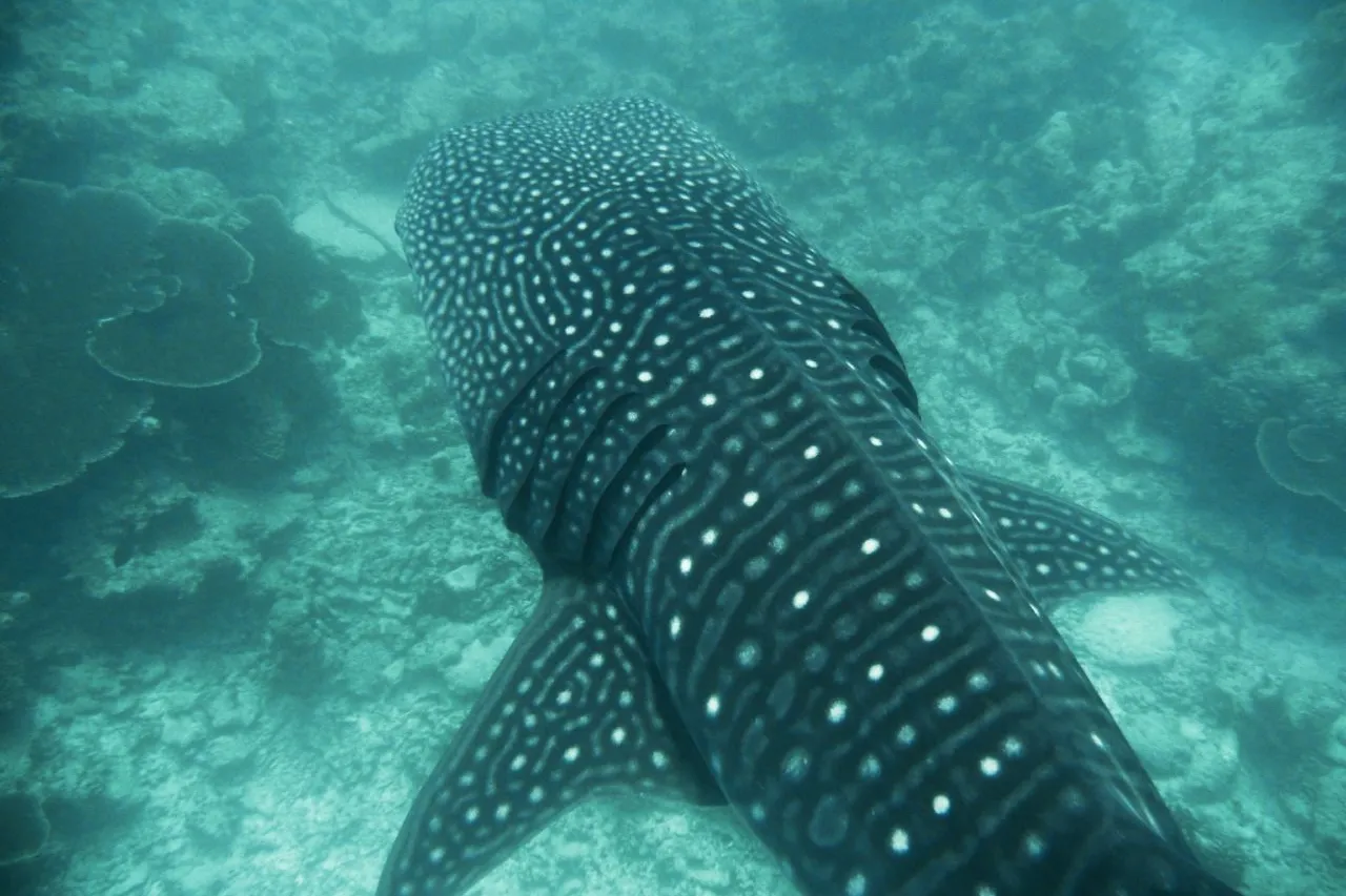 2309635431 b3d0522748 o