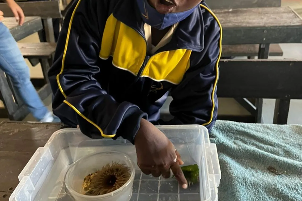 Whats App Image 2022 05 17 at 5 22 57 PM