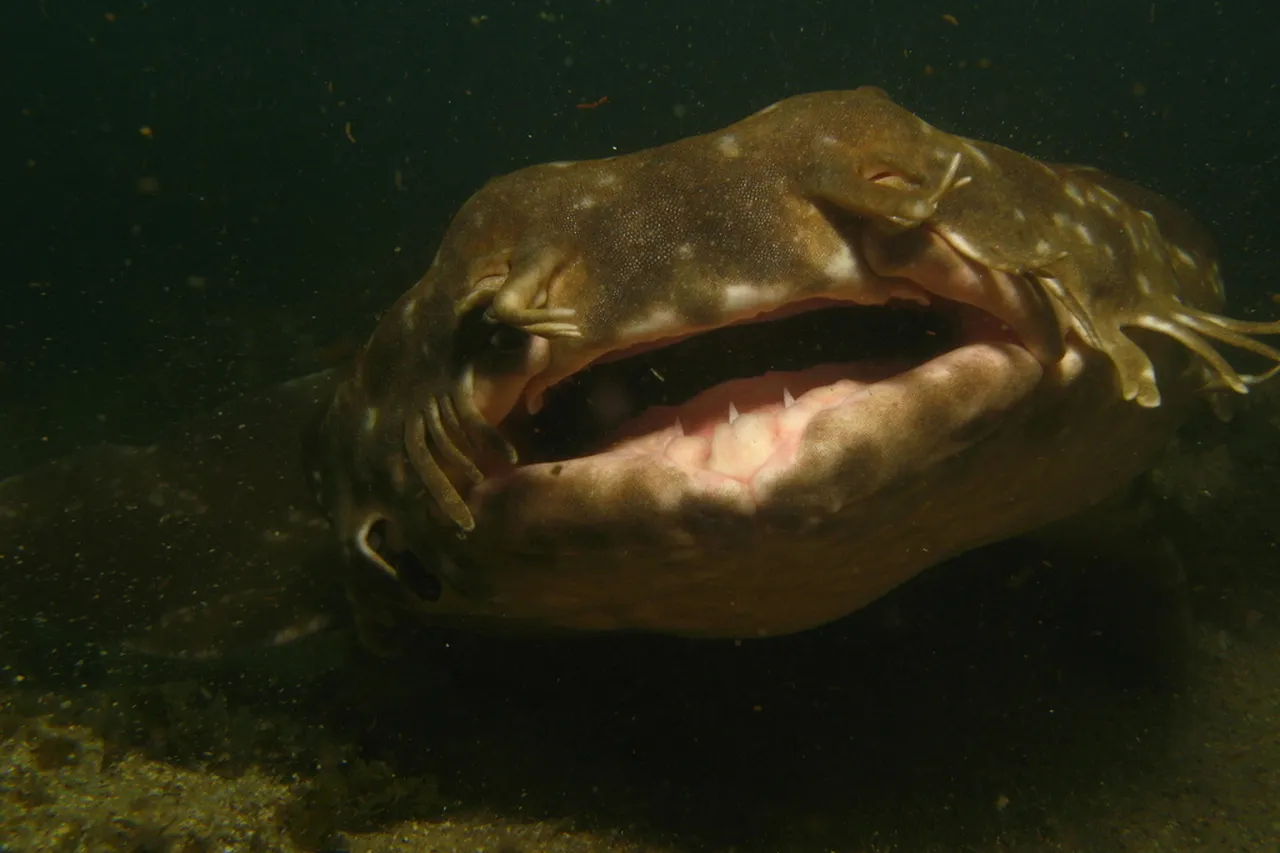 3673254792 6b4c58d7a5 o