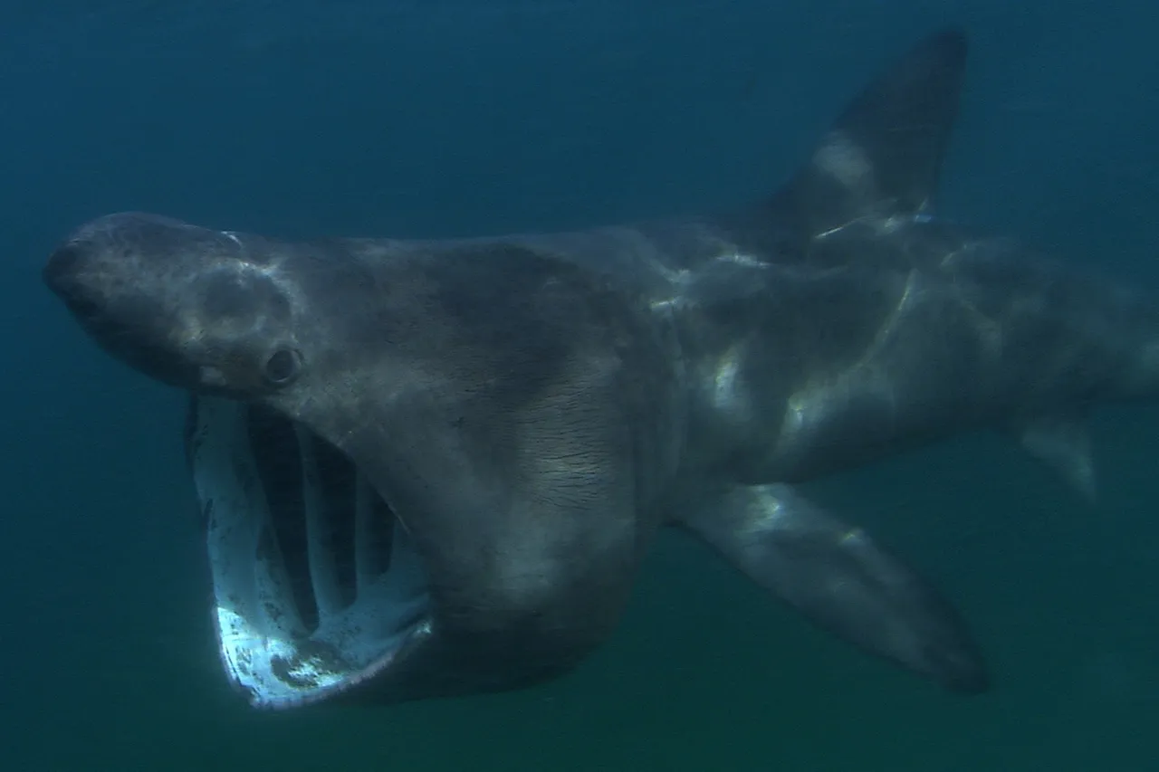 10144945093 d32e2ab944 o