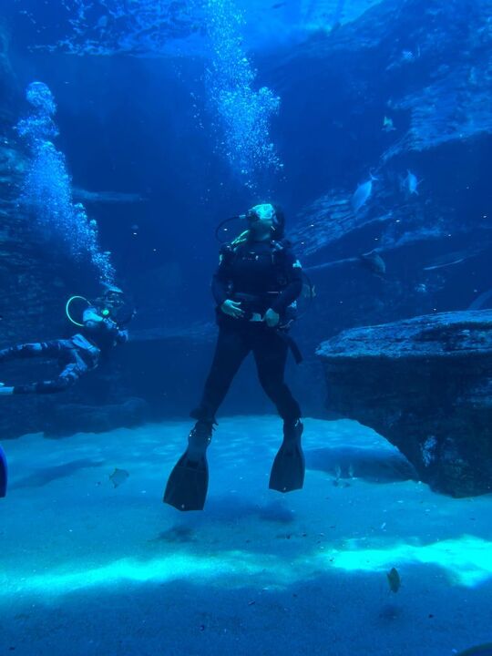 Here's why you should scuba dive in the I&J Ocean Exhibit