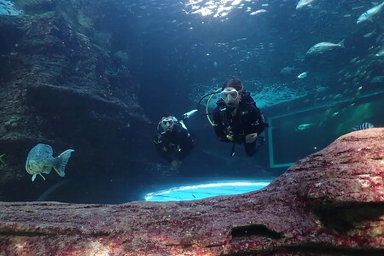 Big A5 B1 AA11 FE40 4 CF0 BD47 B7 DB09409463