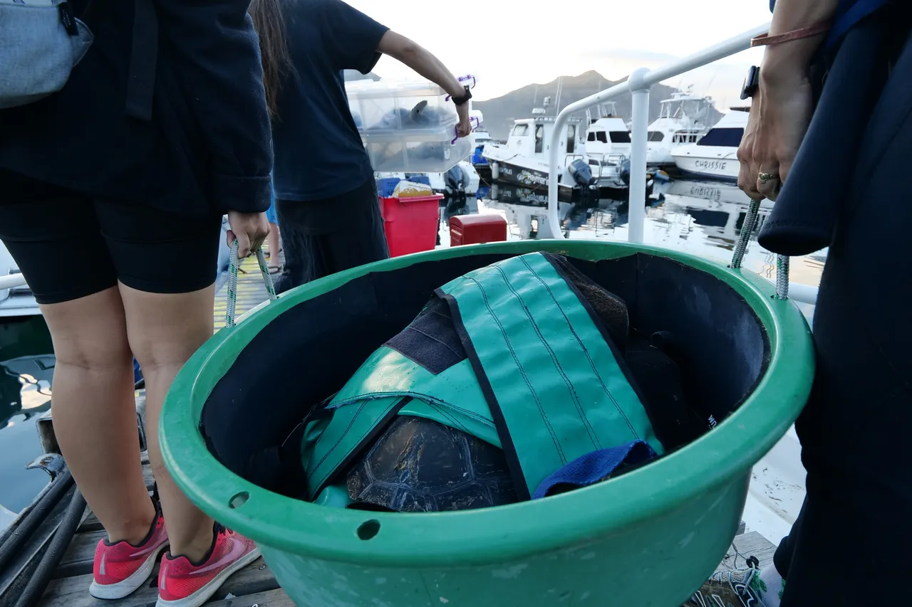 D Wentzel copyright Jan2022 release 1