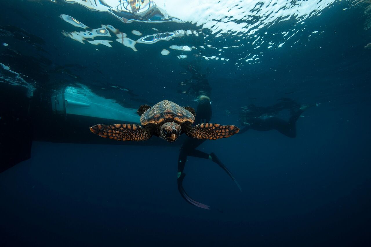 J Lowe copyright Jan2022 release 3