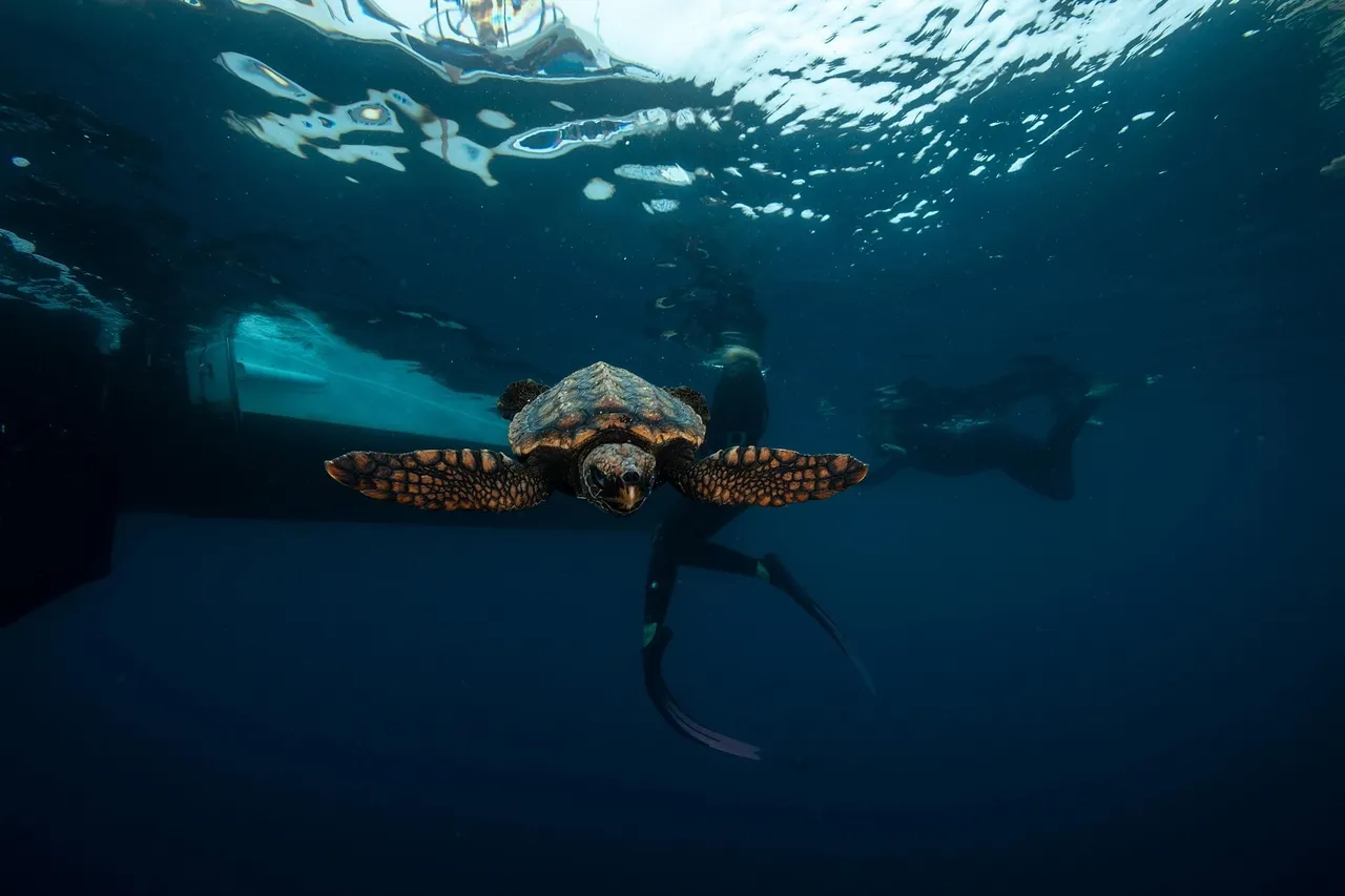 J Lowe copyright Jan2022 release 3