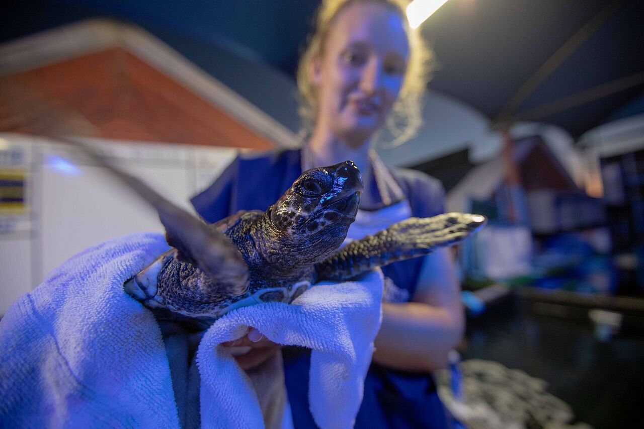 J Lowe copyright Jan2022 release 1