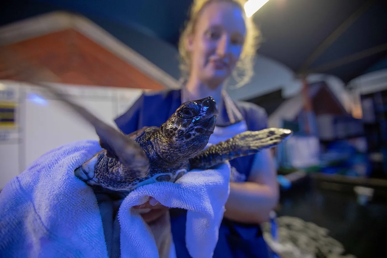 J Lowe copyright Jan2022 release 1