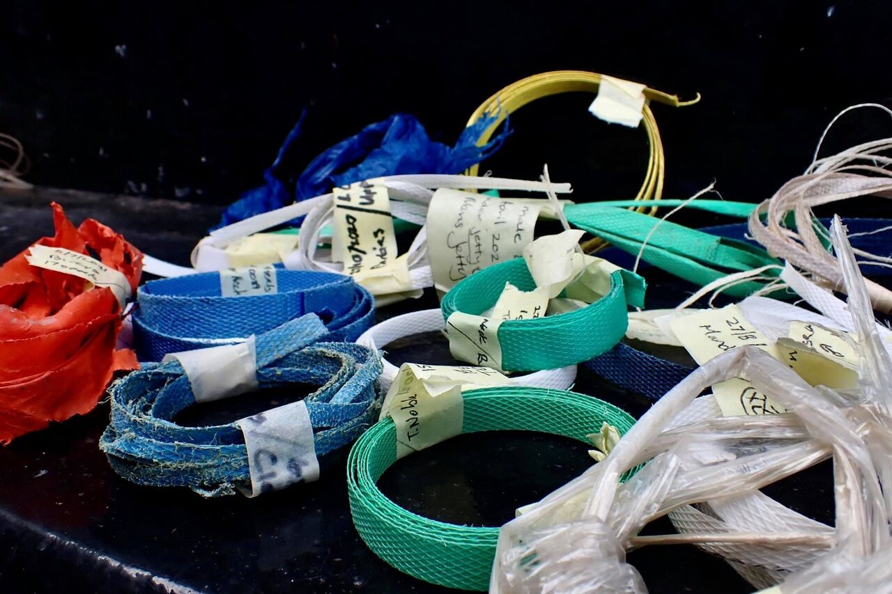 243517438 393822968913684 8781420119470480306 n