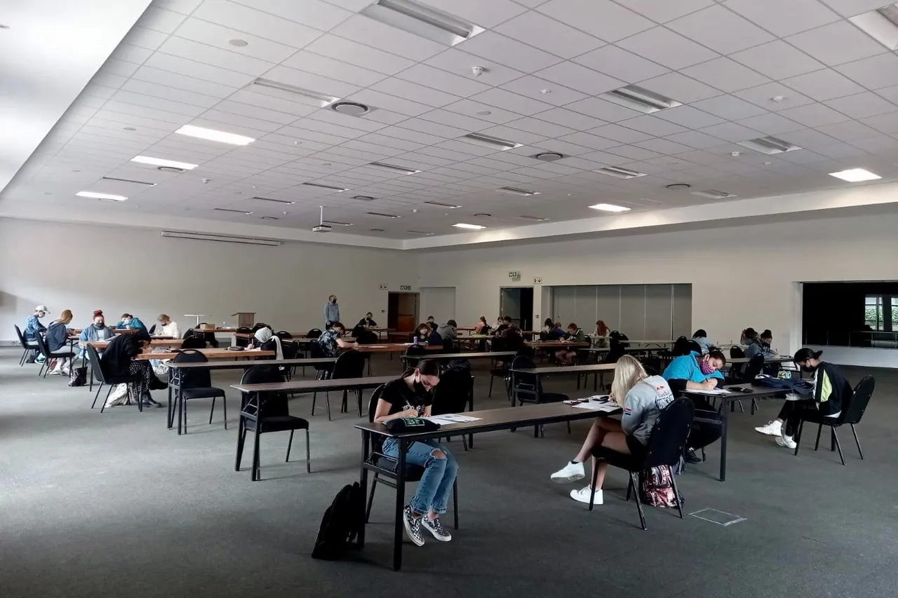 260719425 431137631848884 2734234877027406842 n