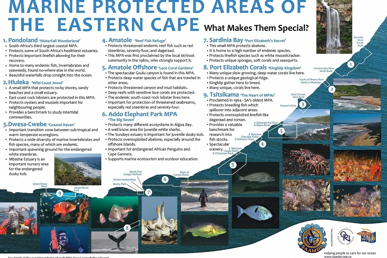 40fb1c77306044ed86965fc861b9d668 0001