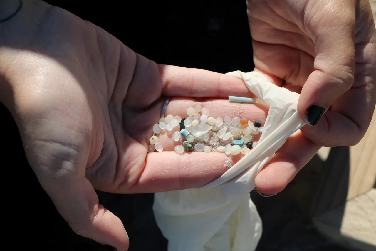 Trash Bash1 Devon 130