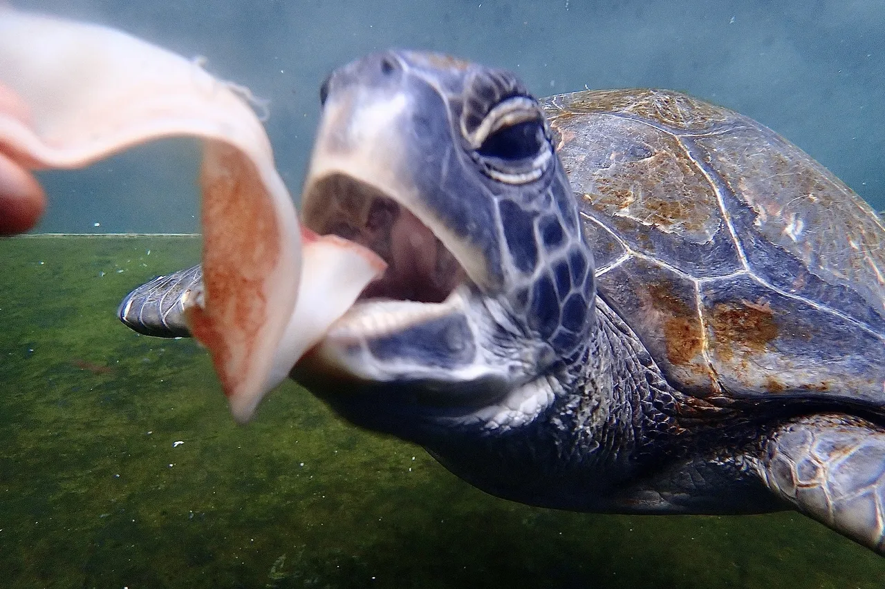 Harry2021 M Viljoen 7