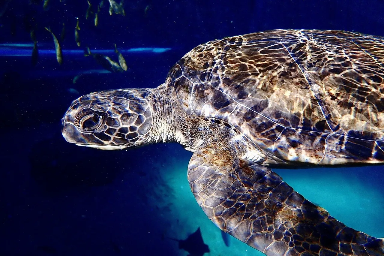 Harry2021 M Viljoen 10