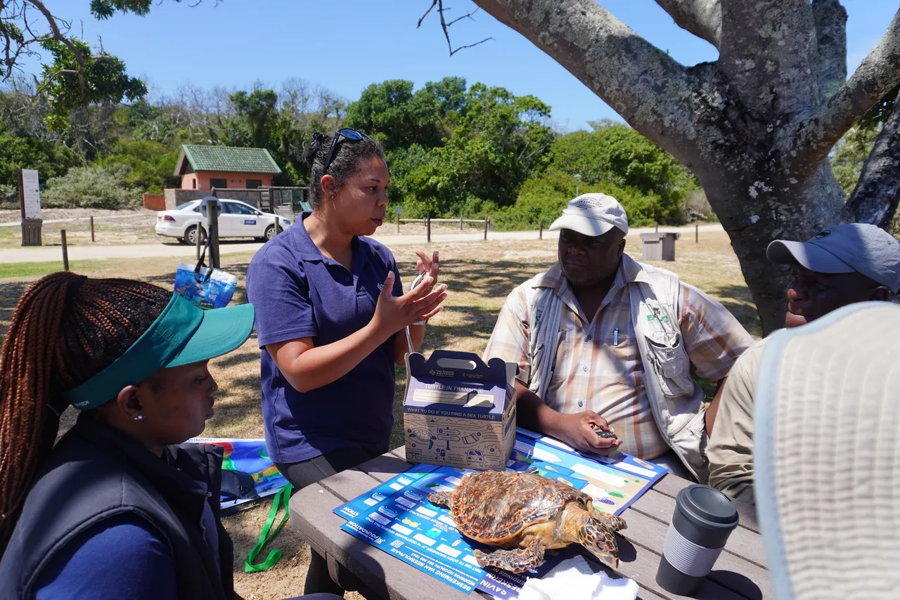 Our Turtle Conservation Centre’s 7th annual Turtle Road Trip was an absolute success