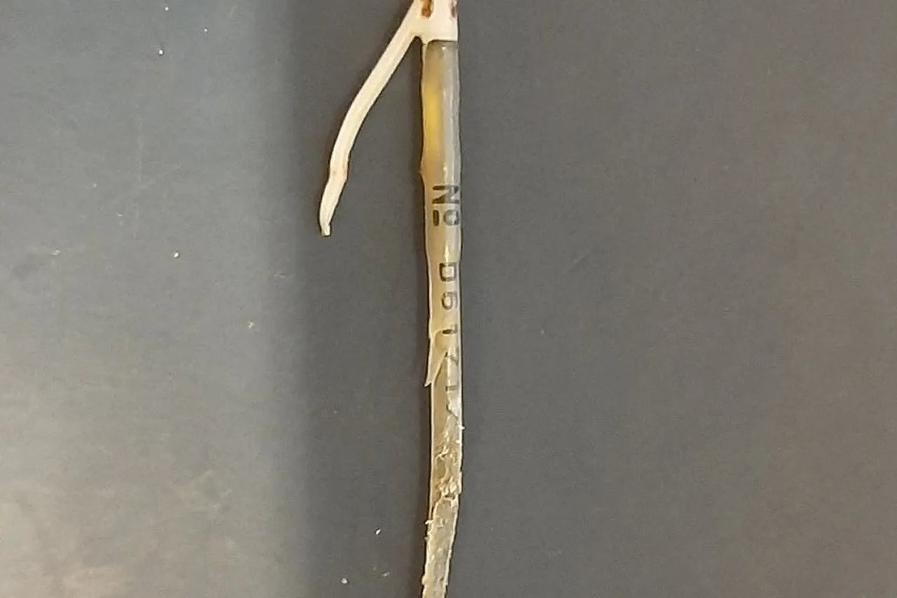 248788083 3023015964613722 924154841706533470 n 1