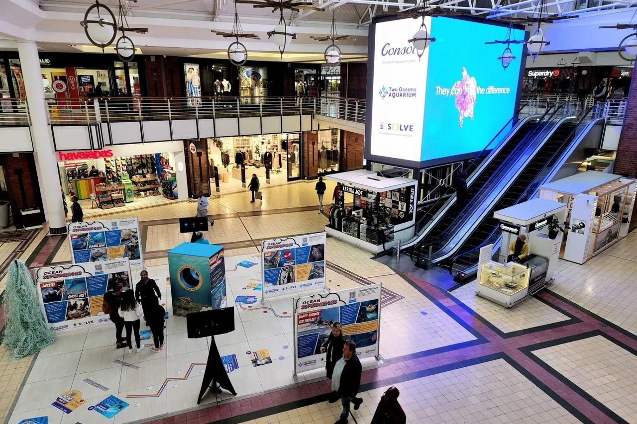 289509851 10162062336506110 8018249723586070719 n