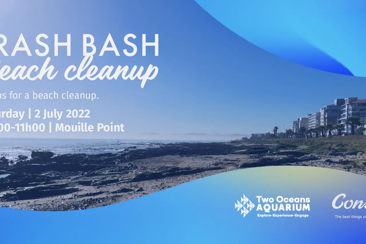 Trash Bash Mouille 01 1