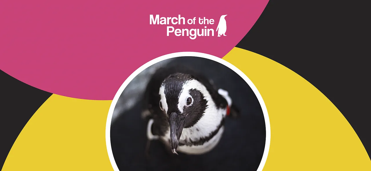 Microscopic threats to penguins: parasites