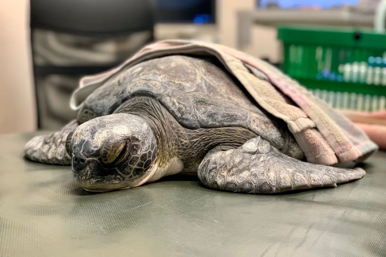 Whats App Image 2021 06 22 at 2 24 18 PM