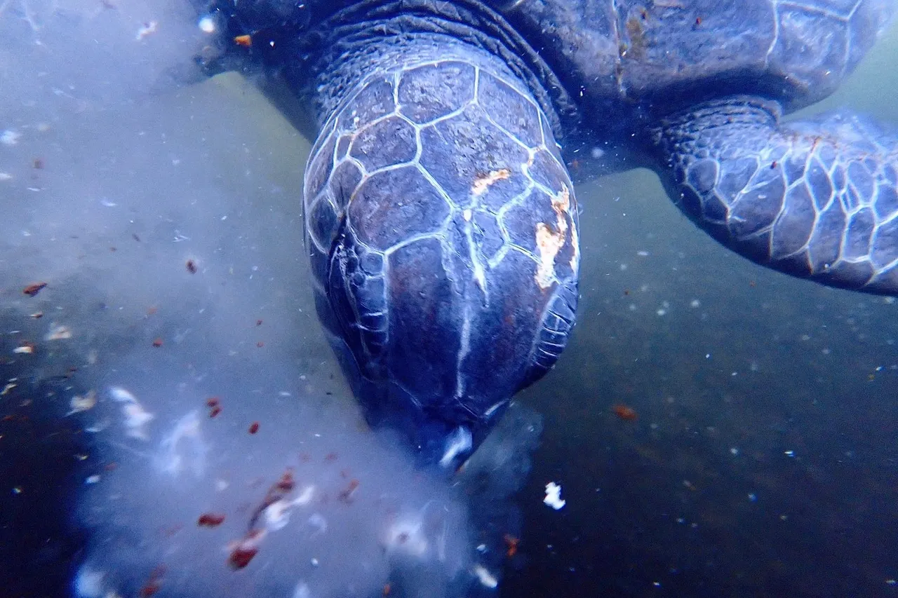 Whats App Image 2021 06 22 at 5 44 47 PM