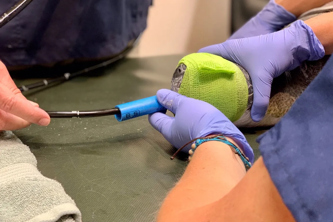 Whats App Image 2021 06 22 at 2 24 18 PM 1