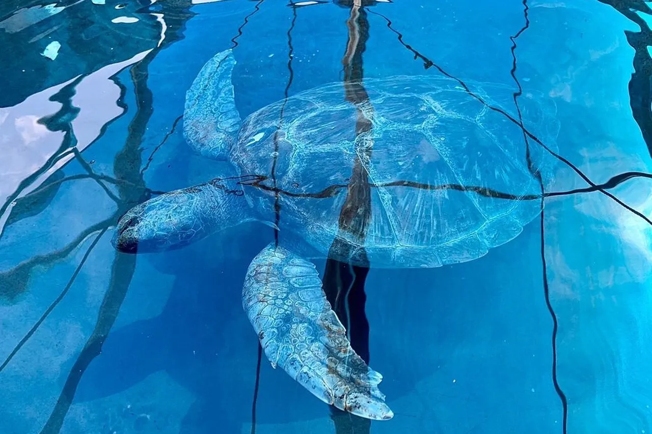 Whats App Image 2021 06 22 at 2 24 06 PM 5