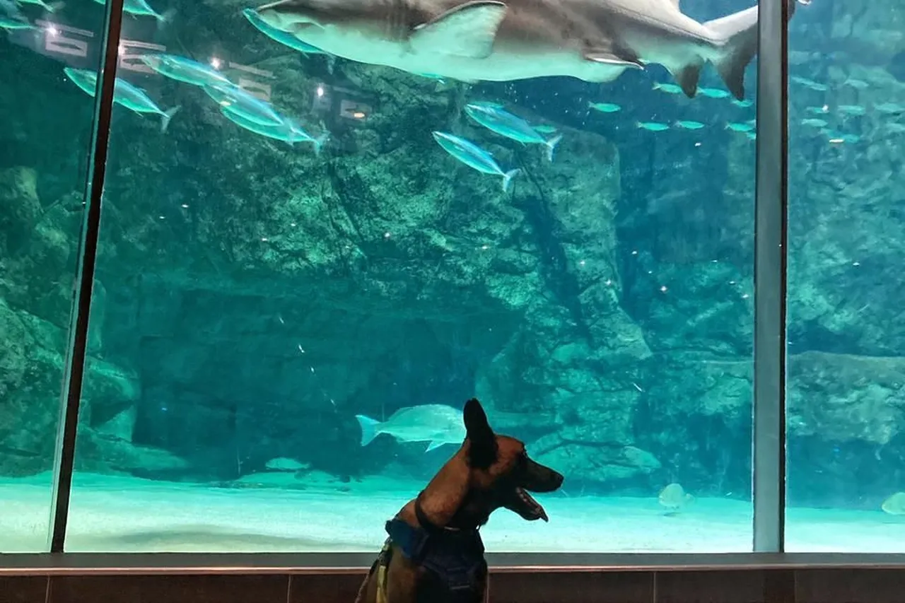 Whats App Image 2021 06 18 at 12 40 56 PM 1