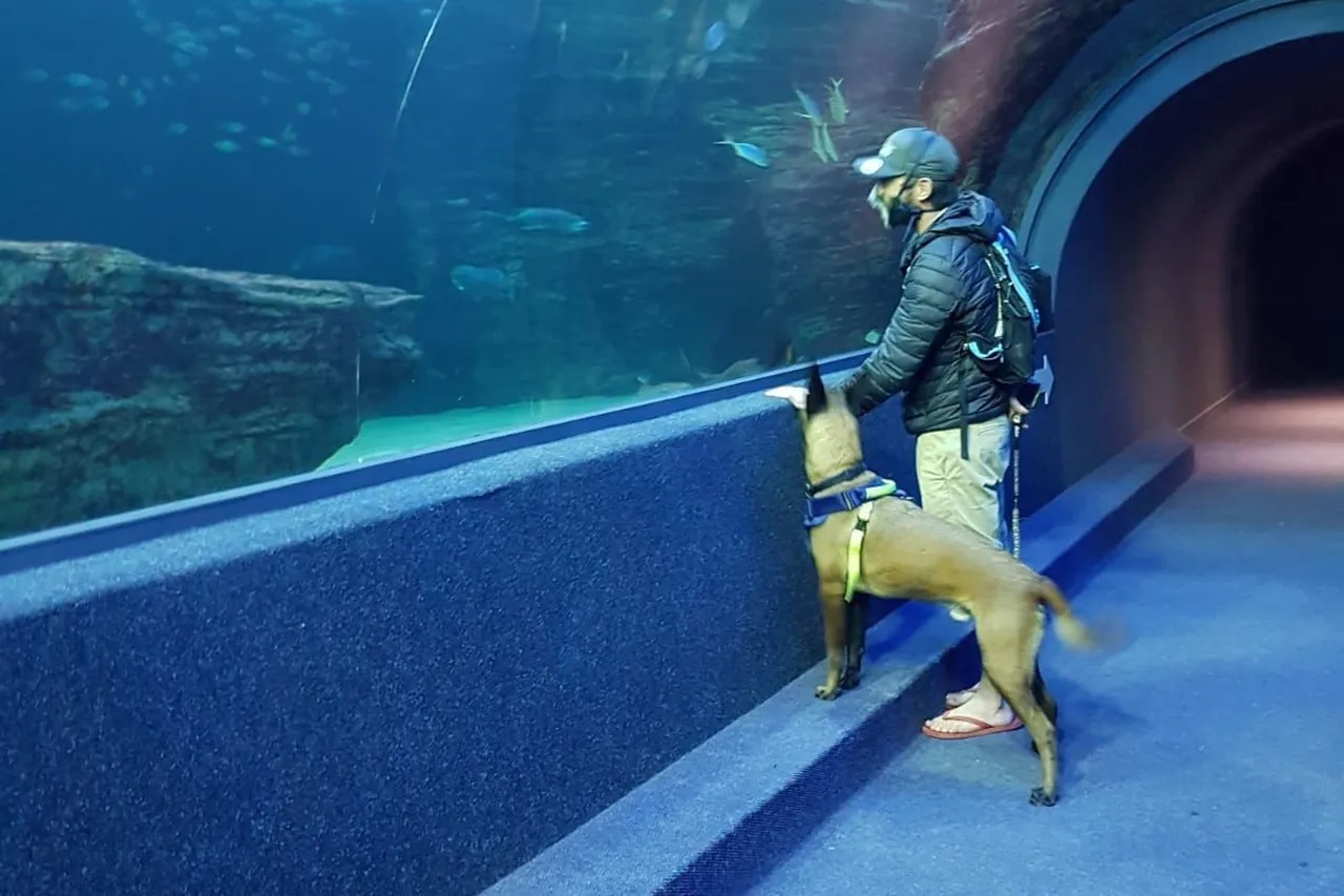 Whats App Image 2021 06 18 at 12 40 55 PM