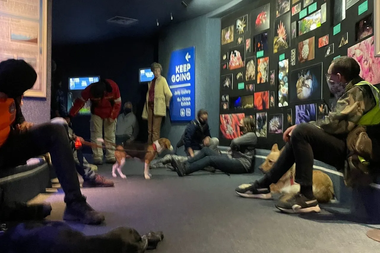 Whats App Image 2021 06 18 at 12 40 57 PM