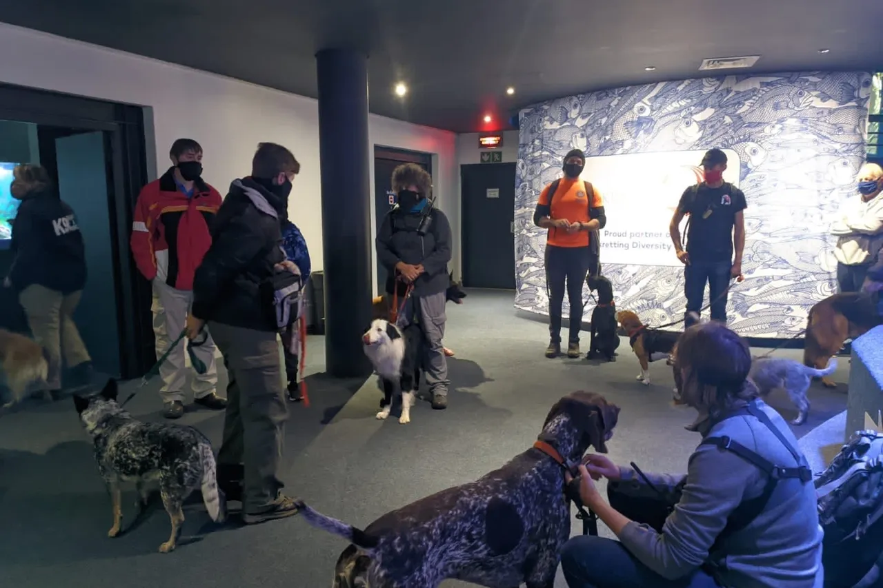 Whats App Image 2021 06 18 at 12 40 54 PM 1